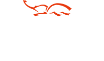 TSR(TECHNICAL SPORTS RACING)
