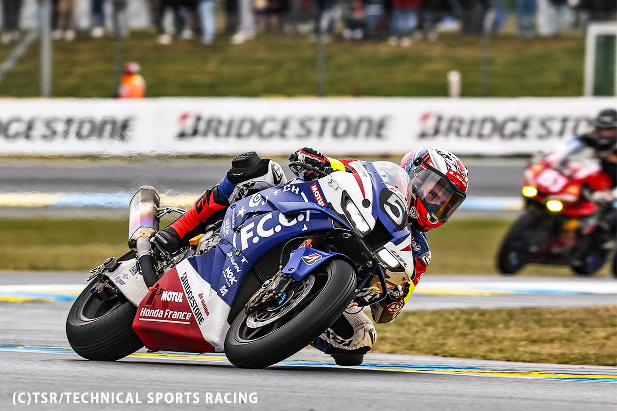 ルチェルナ　リマーゴ　ルトルス ルチェルナ リマーゴ ルトルス